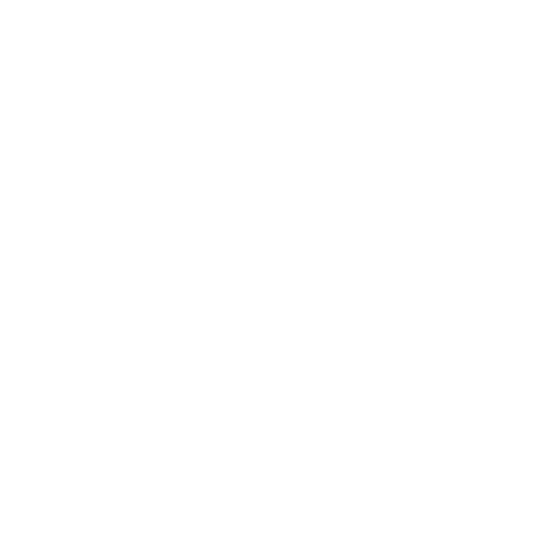 SRT-X.png